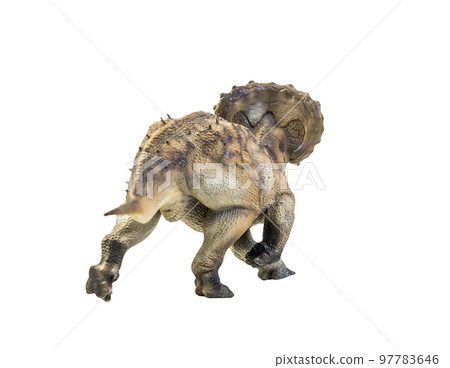 dinosaur , Triceratops on isolated background clipping path dinosaur , Triceratops on isolated background clipping path 97783646