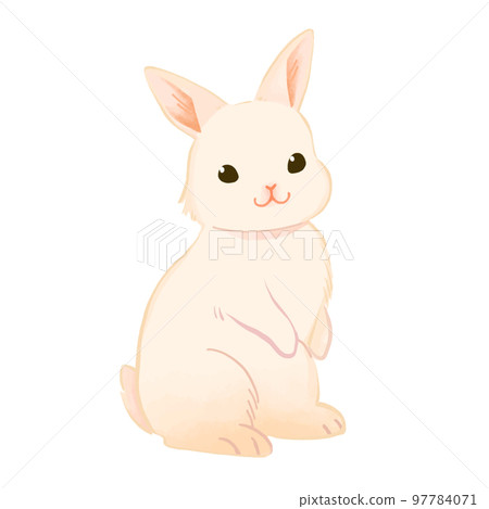 一隻可愛的兔子站起來看著你的插圖 97784071