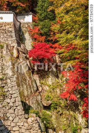 Bitchu Matsuyama Castle in Autumn ~ Otemon Ruins ~ 97784589