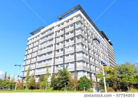 [Kagawa Prefecture] Takamatsu Sunport Joint Government Building (Sunport Takamatsu) with yellow leaves in the autumn sky 97784803