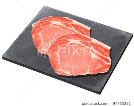 Delicious and realistic hand-drawn illustration of pork loin on a stylish black plate 97785251