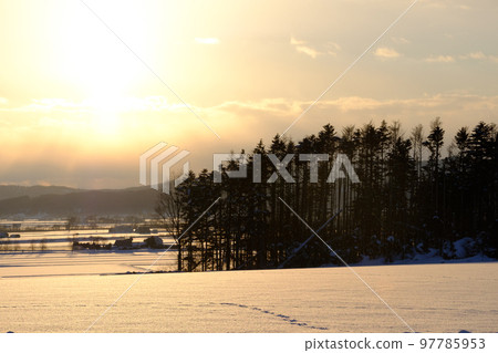 Snow scene at dusk 97785953
