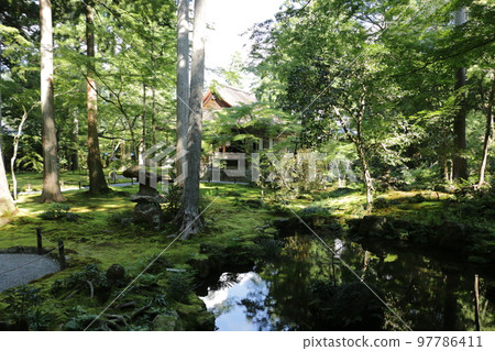 Mossy Ohara Sanzenin Temple 97786411