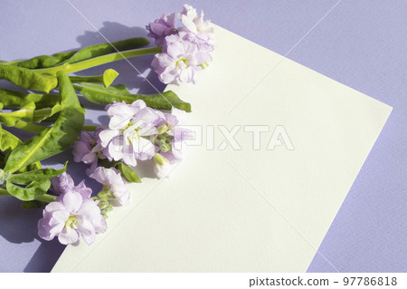 flowers and cards flowers and cards 97786818