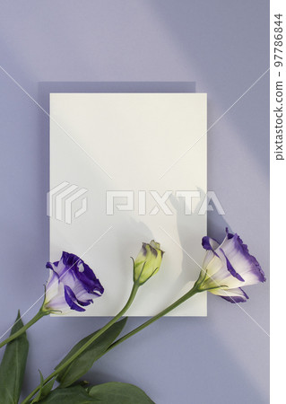 Card mock-up with flowers on a purple background Card mock-up with flowers on a purple background 97786844