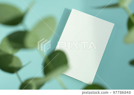 Card mock-up with eucalyptus Card mock-up with eucalyptus 97786848