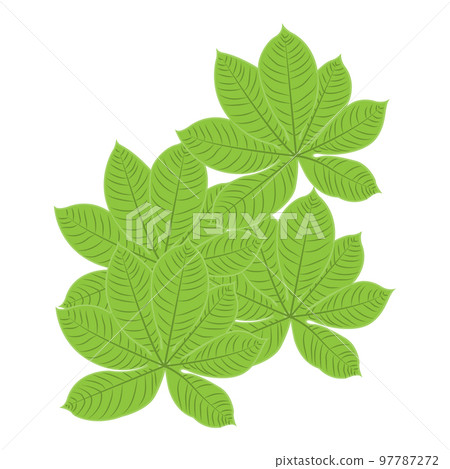 Leaf Logo Green Plant Design Leaves Of Trees Product Brand Template Illustration Leaf Logo Green Plant Design Leaves Of Trees Product Brand Template Illustration 97787272