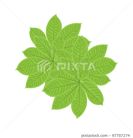 Leaf Logo Green Plant Design Leaves Of Trees Product Brand Template Illustration Leaf Logo Green Plant Design Leaves Of Trees Product Brand Template Illustration 97787274