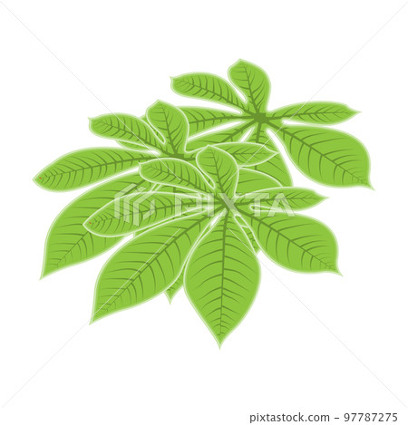 Leaf Logo Green Plant Design Leaves Of Trees Product Brand Template Illustration Leaf Logo Green Plant Design Leaves Of Trees Product Brand Template Illustration 97787275