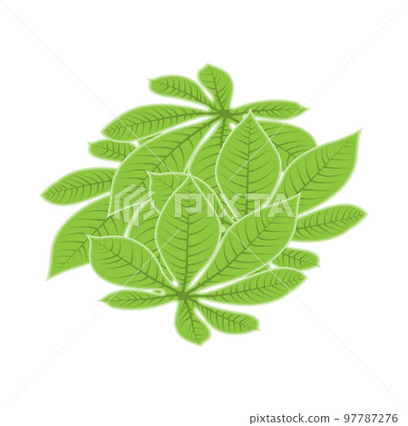Leaf Logo Green Plant Design Leaves Of Trees Product Brand Template Illustration Leaf Logo Green Plant Design Leaves Of Trees Product Brand Template Illustration 97787276