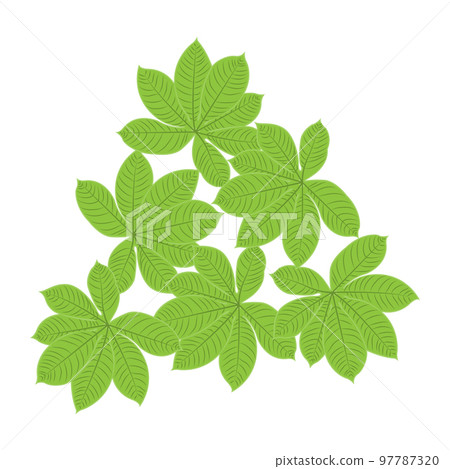 Leaf Logo Green Plant Design Leaves Of Trees Product Brand Template Illustration Leaf Logo Green Plant Design Leaves Of Trees Product Brand Template Illustration 97787320