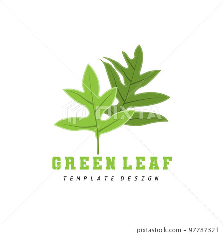 Leaf Logo Green Plant Design Leaves Of Trees Product Brand Template Illustration Leaf Logo Green Plant Design Leaves Of Trees Product Brand Template Illustration 97787321