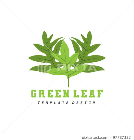 Leaf Logo Green Plant Design Leaves Of Trees Product Brand Template Illustration 97787322