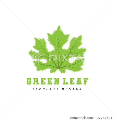 Leaf Logo Green Plant Design Leaves Of Trees Product Brand Template Illustration 97787323