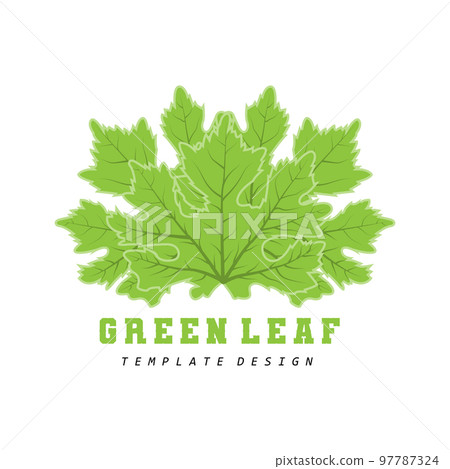 Leaf Logo Green Plant Design Leaves Of Trees Product Brand Template Illustration Leaf Logo Green Plant Design Leaves Of Trees Product Brand Template Illustration 97787324