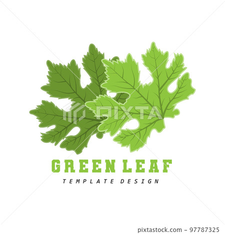 Leaf Logo Green Plant Design Leaves Of Trees Product Brand Template Illustration Leaf Logo Green Plant Design Leaves Of Trees Product Brand Template Illustration 97787325