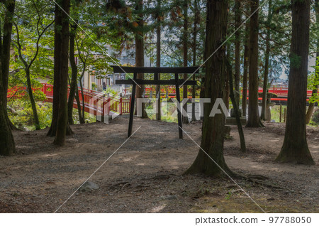 The style of an old shrine: Suwa Taisha Shimosha Harumiya The style of an old shrine: Suwa Taisha Shimosha Harumiya 97788050