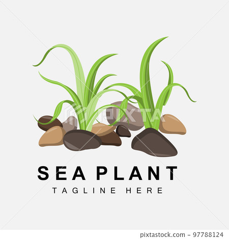 Seaweed Logo, Sea Plants Vector Design, Grocery And Nature Protection Seaweed Logo, Sea Plants Vector Design, Grocery And Nature Protection 97788124