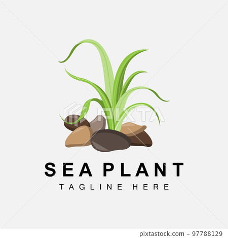 Seaweed Logo, Sea Plants Vector Design, Grocery And Nature Protection Seaweed Logo, Sea Plants Vector Design, Grocery And Nature Protection 97788129