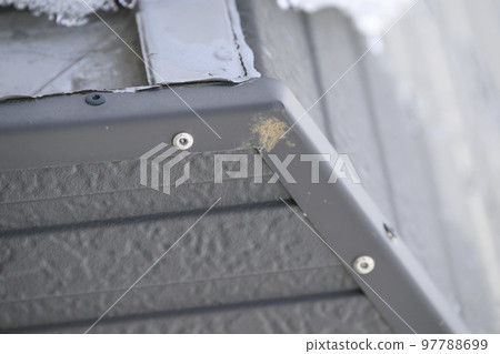 Diagnosis before housing renovation (rust on eaves) 97788699