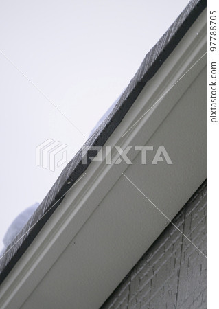 Diagnosis before housing renovation 97788705