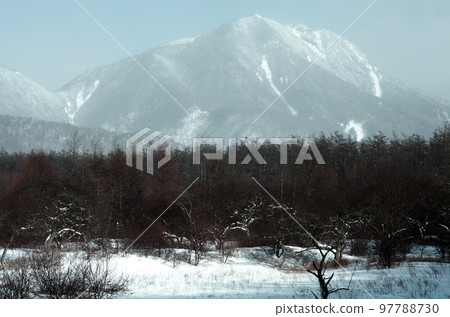 冬日的奧日光戰場原,靜謐的世界展開。偶爾瞥見的藍天,雪地上飛舞的粉雪,景色妙不可言。 冬日的奧日光戰場原,靜謐的世界展開。偶爾瞥見的藍天,雪地上飛舞的粉雪,景色妙不可言。 97788730