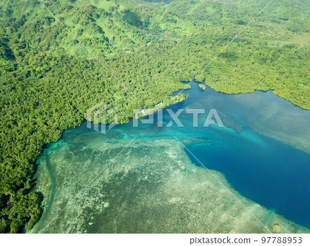 Utwe Biosphere Reserve in Kosrae, Micronesia 97788953