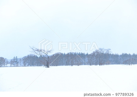 北海道隆冬雪景 97789326