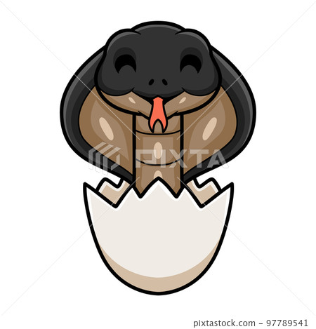 Cute javan spitting cobra cartoon inside an egg Cute javan spitting cobra cartoon inside an egg 97789541