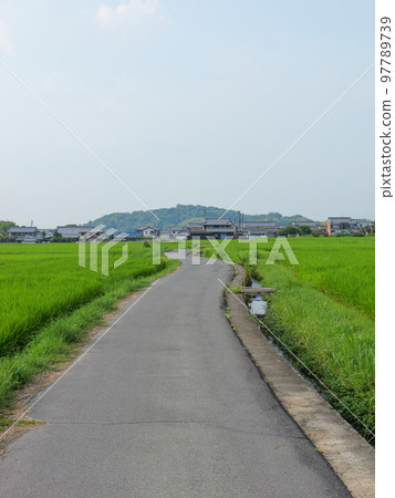 A single road through a rice field in a Japanese farming village in midsummer. 97789739