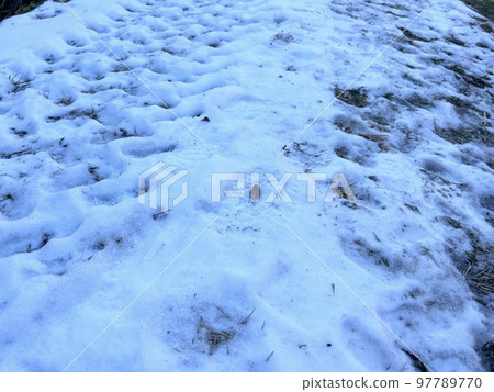 遮蔭雪 遮蔭雪 97789770