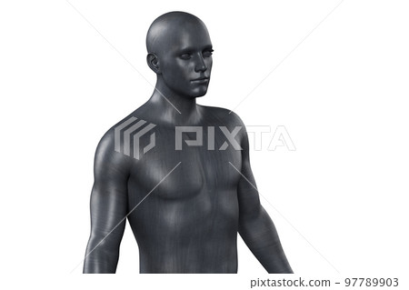 3D illustration of a male black torso on a white background. metal mannequin. 97789903
