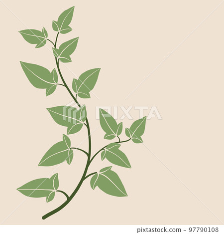 Simplicity ivy freehand drawing flat design. 97790108