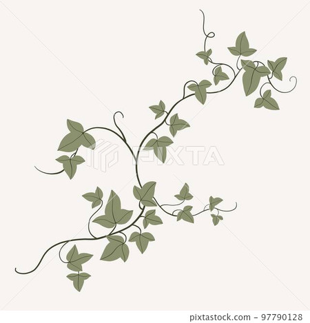 Floral ivy drawing decorative ornament flat design. 97790128
