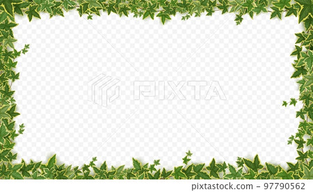 Frame of ivy vines with green leaves 97790562