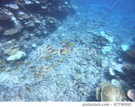 Sea of Hatomajima 97790991