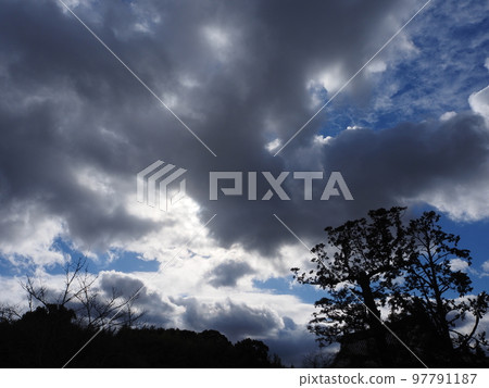 Cold winter sky Cold winter sky 97791187