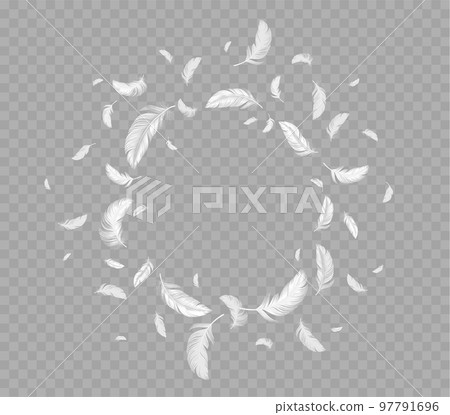 Circle frame of flying white soft bird feathers 97791696