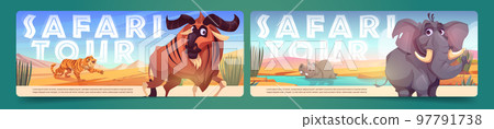 Set of safari tour banner layouts with tiger Set of safari tour banner layouts with tiger 97791738