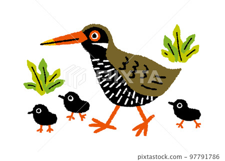 Yanbaru Kuina親子手繪插畫 97791786