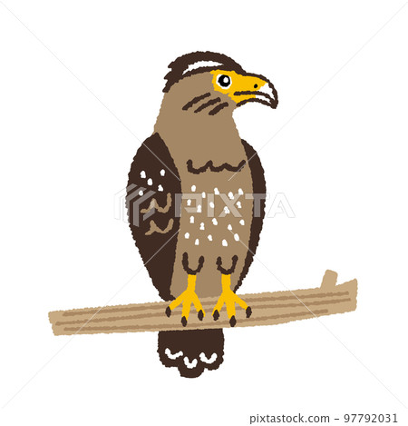 Hand-drawn illustration of a crested eagle 97792031
