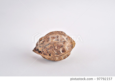 Walnuts (Autumn, November) 97792157