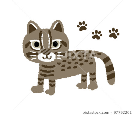 Hand drawn illustration of Iriomote wildcat and - Stock