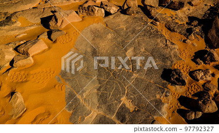 Cow - Cave paintings and petroglyphs at Tamezguida in Tassili nAjjer national park, Algeria Cow - Cave paintings and petroglyphs at Tamezguida in Tassili nAjjer national park, Algeria 97792327