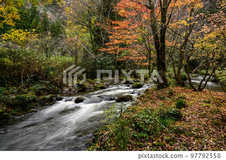 Aramata Gorge in late autumn 97792558