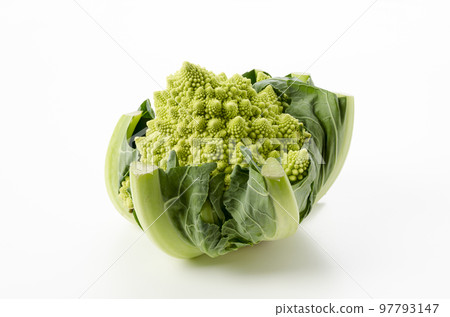Romanesco Romanesco 97793147