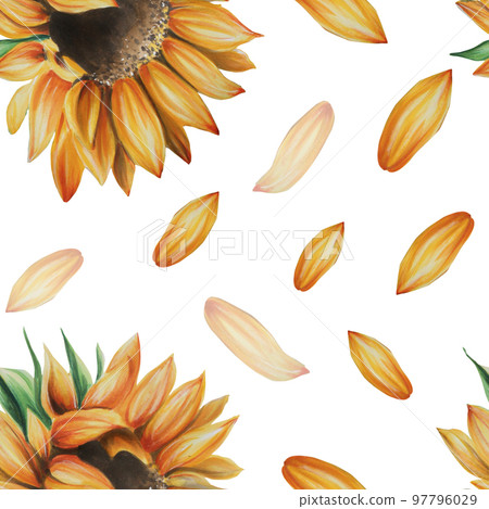 Sunflower watercolor seamless pattern. Hand drawn clipart isolated on background. Holiday autumn print. For wedding invitation, textile, scrapbooking, card, invitation, tags, printing, wrapping paper Sunflower watercolor seamless pattern. Hand drawn clipart isolated on background. Holiday autumn print. For wedding invitation, textile, scrapbooking, card, invitation, tags, printing, wrapping paper 97796029