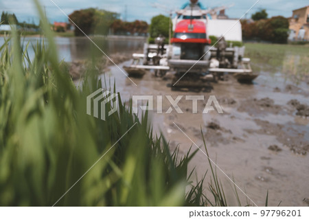 rice planting, rice transplanter, paddy 97796201