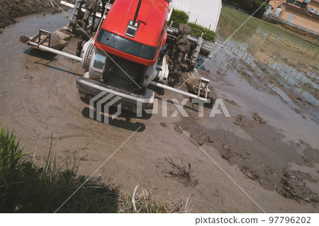 水稻種植 水稻插秧機 水稻 97796202