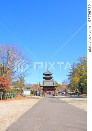 Scenery of the middle gate of Koshoji Temple in Yagotoyama, Nagoya 97796729